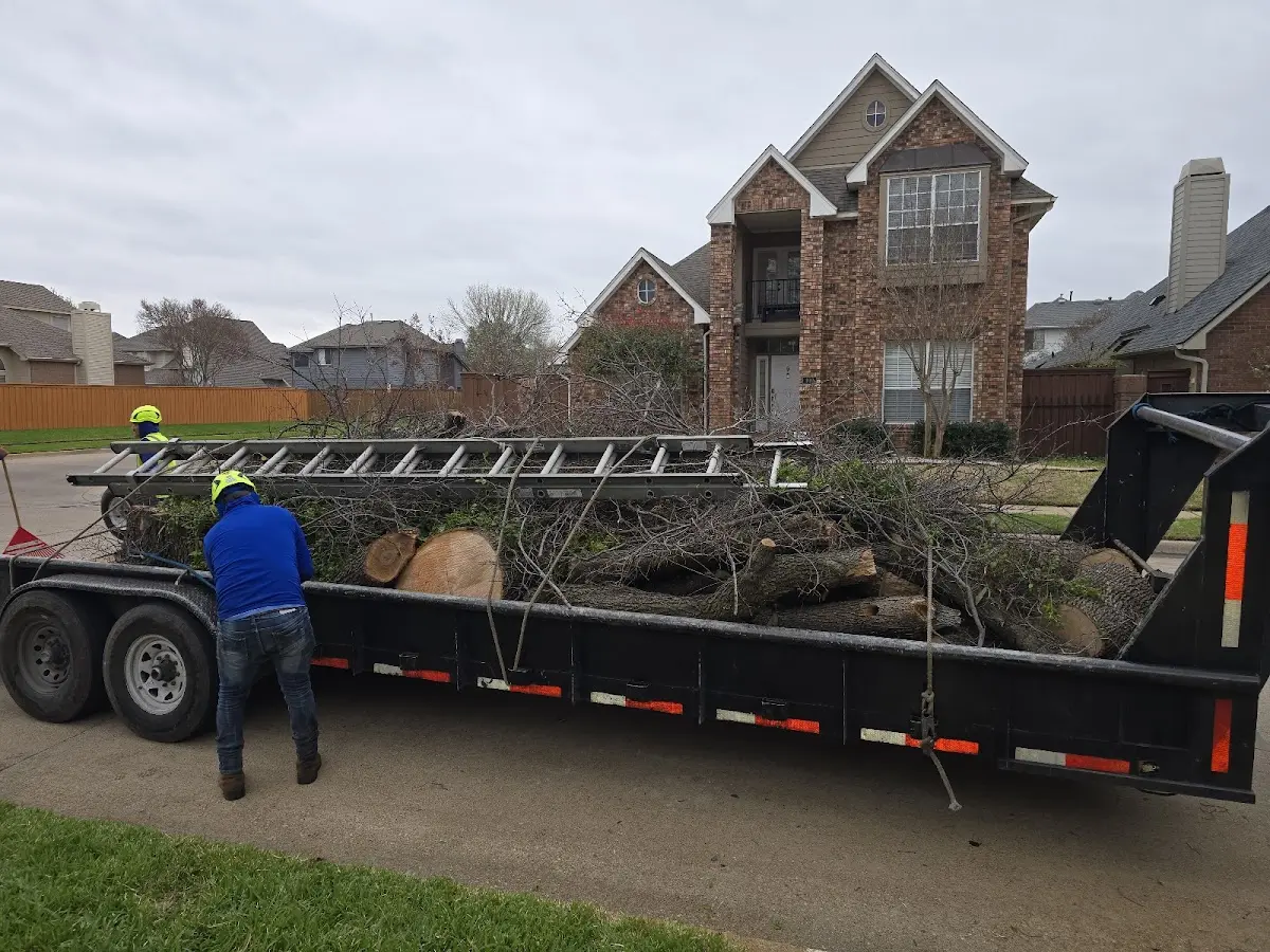 Expert Tree Fertilization with proper safety equipment in Frederick